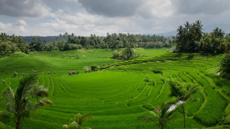 Indonesia Remote Worker Visa E33G: Rules for Bali and Beyond