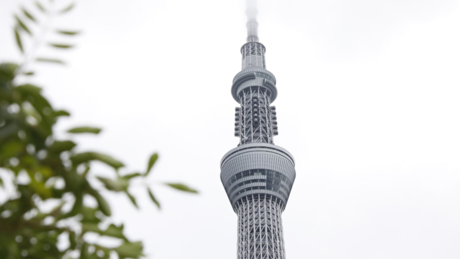 Japan Digital Nomad Visa: Who Qualifies and How It Works
