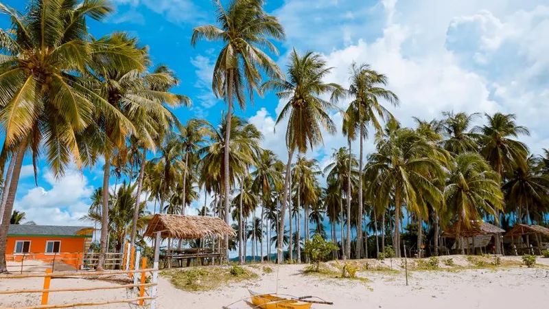 Offshore Trusts Explained: How They Work and What They Cost